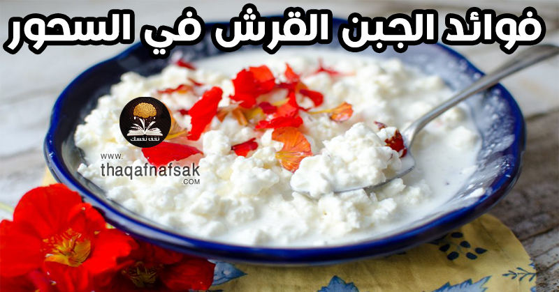 فوائد الجبن القريش