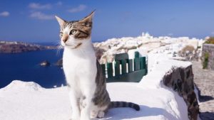 جزيرة سيروس Syros اليونان