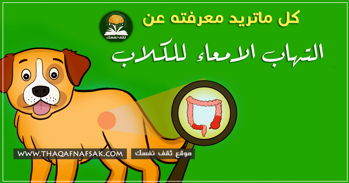 التهاب الامعاء في الكلاب