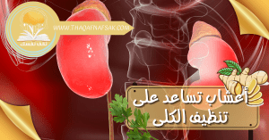 أعشاب تساعد على تنظيف الكلى