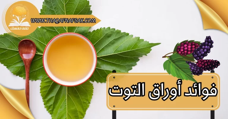 فوائد أوراق التوت