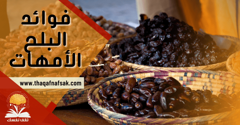 فوائد البلح الأمهات