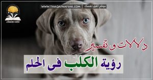 الكلب فى الحلم