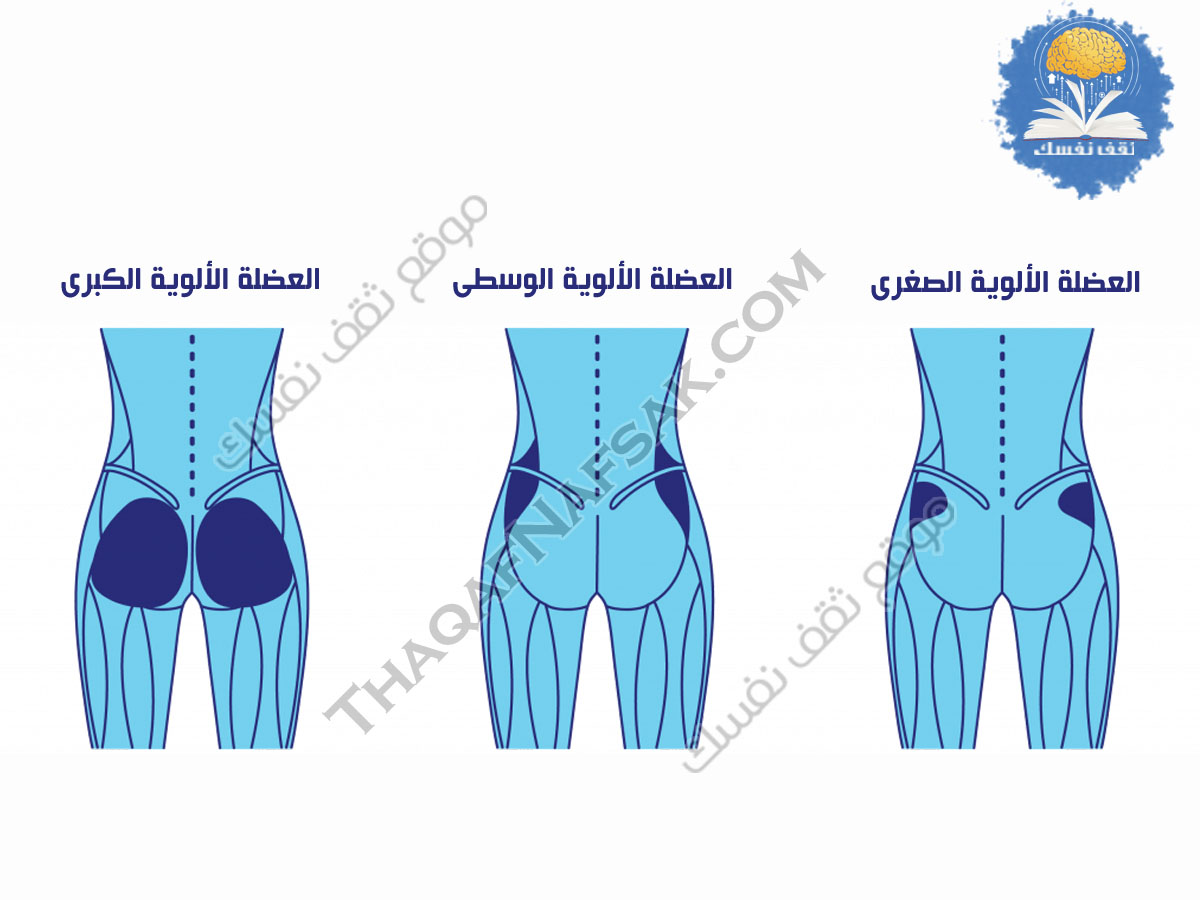 تقوية عضلات الأرداف