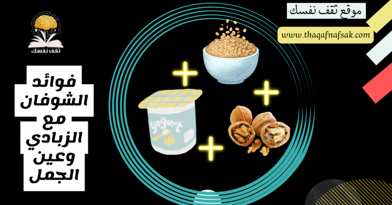 فوائد الشوفان مع الزبادي وعين الجمل