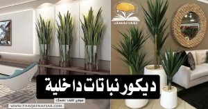 ديكور نباتات داخلية