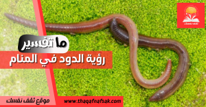 ما تفسير رؤية الدود في المنام