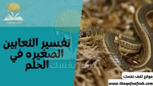 تفسير الثعابين الصغيرة في المنام