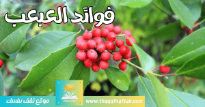 فوائد العبعب