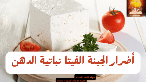 أضرار الجبنة الفيتا نباتية الدهن