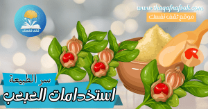 استخدامات العبعب